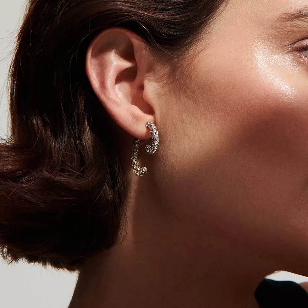Veliora Prism Zircon Stud Earrings